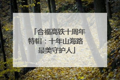 合福高铁十周年特辑：十年山海路 最美守护人