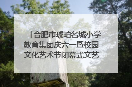 合肥市琥珀名城小学教育集团庆六一暨校园文化艺术节闭幕式文艺汇演圆满举行
