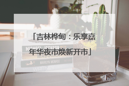吉林桦甸：乐享嘉年华夜市焕新开市
