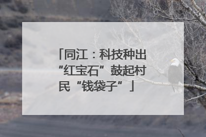 同江：科技种出“红宝石”鼓起村民“钱袋子”