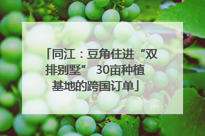 同江：豆角住进“双排别墅” 30亩种植基地的跨国订单