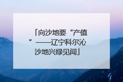 向沙地要“产值”——辽宁科尔沁沙地兴绿见闻