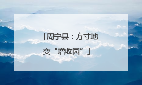 周宁县：方寸地变“增收园”