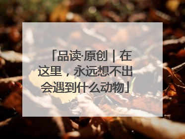品读·原创｜在这里，永远想不出会遇到什么动物