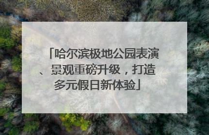哈尔滨极地公园表演、景观重磅升级，打造多元假日新体验
