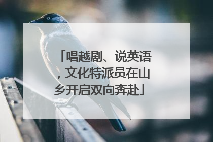 唱越剧、说英语，文化特派员在山乡开启双向奔赴