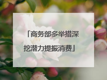 商务部多举措深挖潜力提振消费