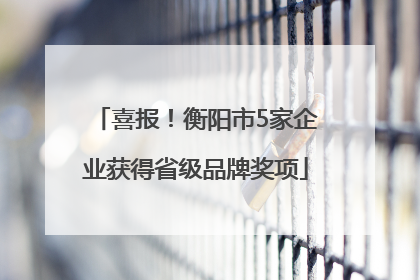 喜报！衡阳市5家企业获得省级品牌奖项