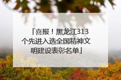 喜报！黑龙江313个先进入选全国精神文明建设表彰名单