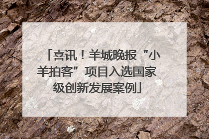 喜讯！羊城晚报“小羊拍客”项目入选国家级创新发展案例