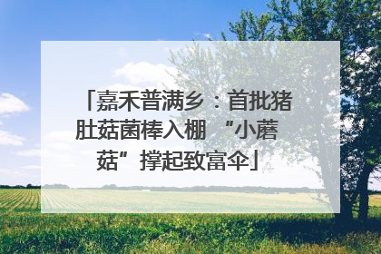 嘉禾普满乡：首批猪肚菇菌棒入棚 “小蘑菇”撑起致富伞