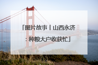 图片故事丨山西永济：种粮大户收获忙