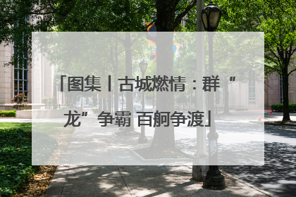 图集丨古城燃情：群“龙”争霸 百舸争渡