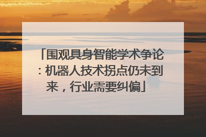 围观具身智能学术争论：机器人技术拐点仍未到来，行业需要纠偏