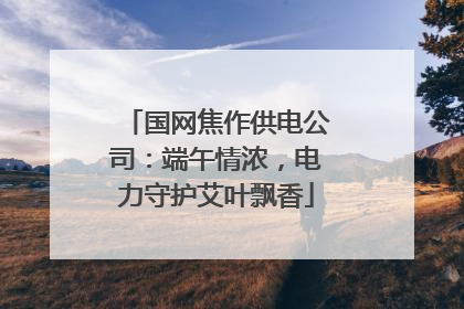 国网焦作供电公司：端午情浓，电力守护艾叶飘香