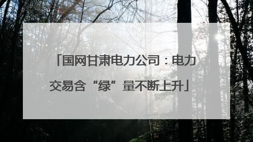 国网甘肃电力公司：电力交易含“绿”量不断上升