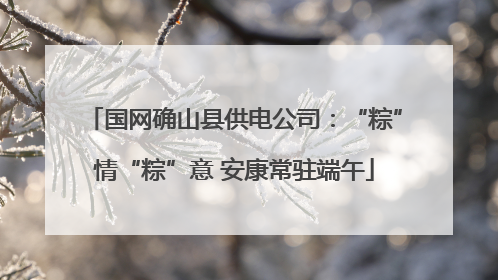国网确山县供电公司：“粽”情“粽”意 安康常驻端午