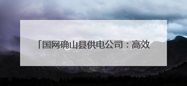 国网确山县供电公司：高效服务重卡充电站项目投运