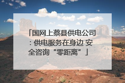 国网上蔡县供电公司：供电服务在身边 安全咨询“零距离”