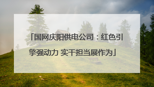 国网庆阳供电公司：红色引擎强动力 实干担当展作为