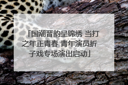 国潮晋韵呈锦绣 当打之年正青春 青年演员折子戏专场演出启动