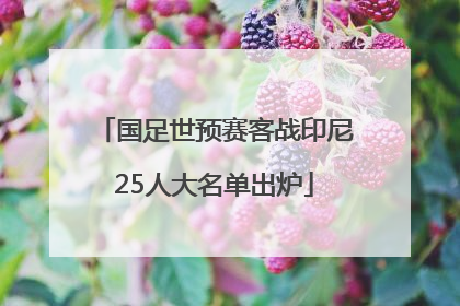 国足世预赛客战印尼25人大名单出炉