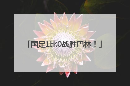 国足1比0战胜巴林！