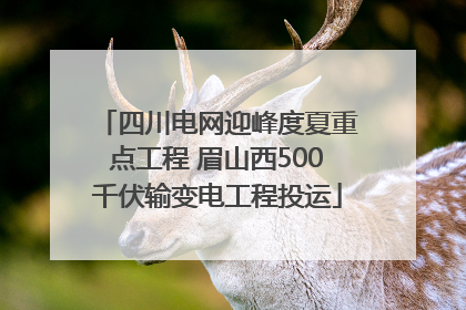 四川电网迎峰度夏重点工程 眉山西500千伏输变电工程投运