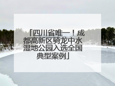 四川省唯一！成都高新区骑龙中水湿地公园入选全国典型案例