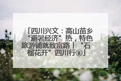 四川兴文：高山苗乡“避暑经济”热，特色旅游铺就致富路丨“石榴花开”四川行⑧
