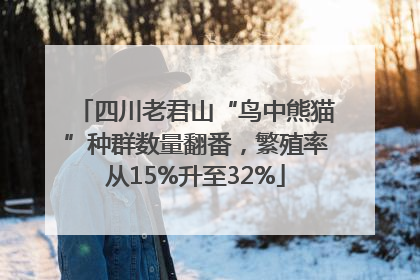 四川老君山“鸟中熊猫”种群数量翻番，繁殖率从15%升至32%