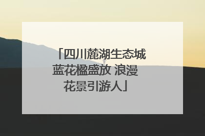 四川麓湖生态城蓝花楹盛放 浪漫花景引游人