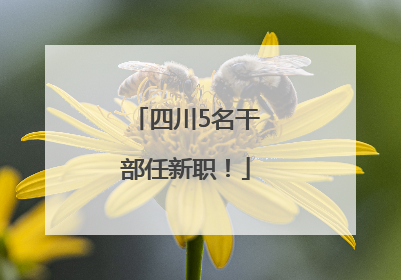 四川5名干部任新职！
