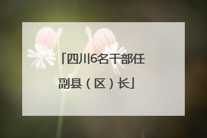 四川6名干部任副县（区）长
