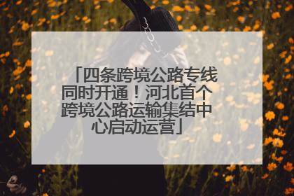 四条跨境公路专线同时开通！河北首个跨境公路运输集结中心启动运营