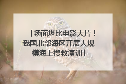 场面堪比电影大片！我国北部海区开展大规模海上搜救演训