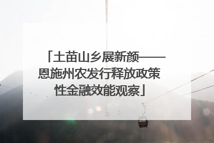 土苗山乡展新颜——恩施州农发行释放政策性金融效能观察