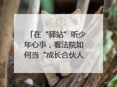 在“驿站”听少年心事，看法院如何当“成长合伙人”｜“守护少年的微笑” 探访记