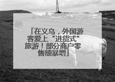 在义乌，外国游客爱上“进货式”旅游！部分商户零售额暴增