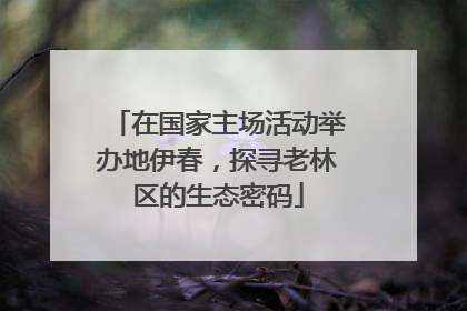 在国家主场活动举办地伊春，探寻老林区的生态密码