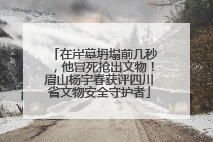 在崖墓坍塌前几秒，他冒死抢出文物！眉山杨宇春获评四川省文物安全守护者