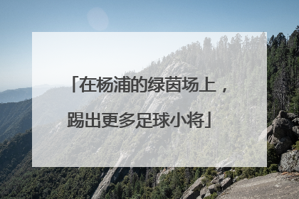 在杨浦的绿茵场上，踢出更多足球小将