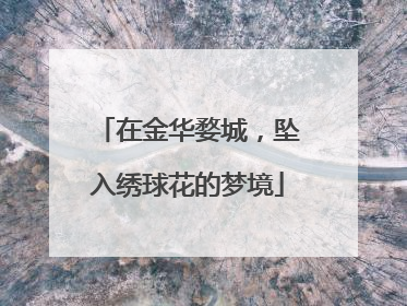 在金华婺城，坠入绣球花的梦境