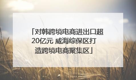 对韩跨境电商进出口超20亿元 威海综保区打造跨境电商聚集区