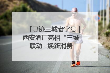 寻迹三城老字号｜西安酒厂亮相“三城联动 · 焕新消费”老字号嘉年华 共话品牌传承与创新