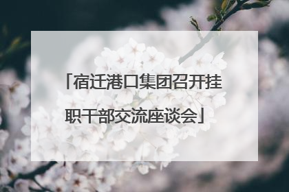 宿迁港口集团召开挂职干部交流座谈会
