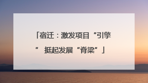 宿迁：激发项目“引擎” 挺起发展“脊梁”