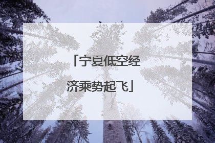 宁夏低空经济乘势起飞