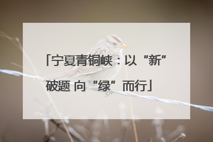 宁夏青铜峡：以“新”破题 向“绿”而行