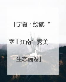 宁夏：绘就“塞上江南”秀美生态画卷
